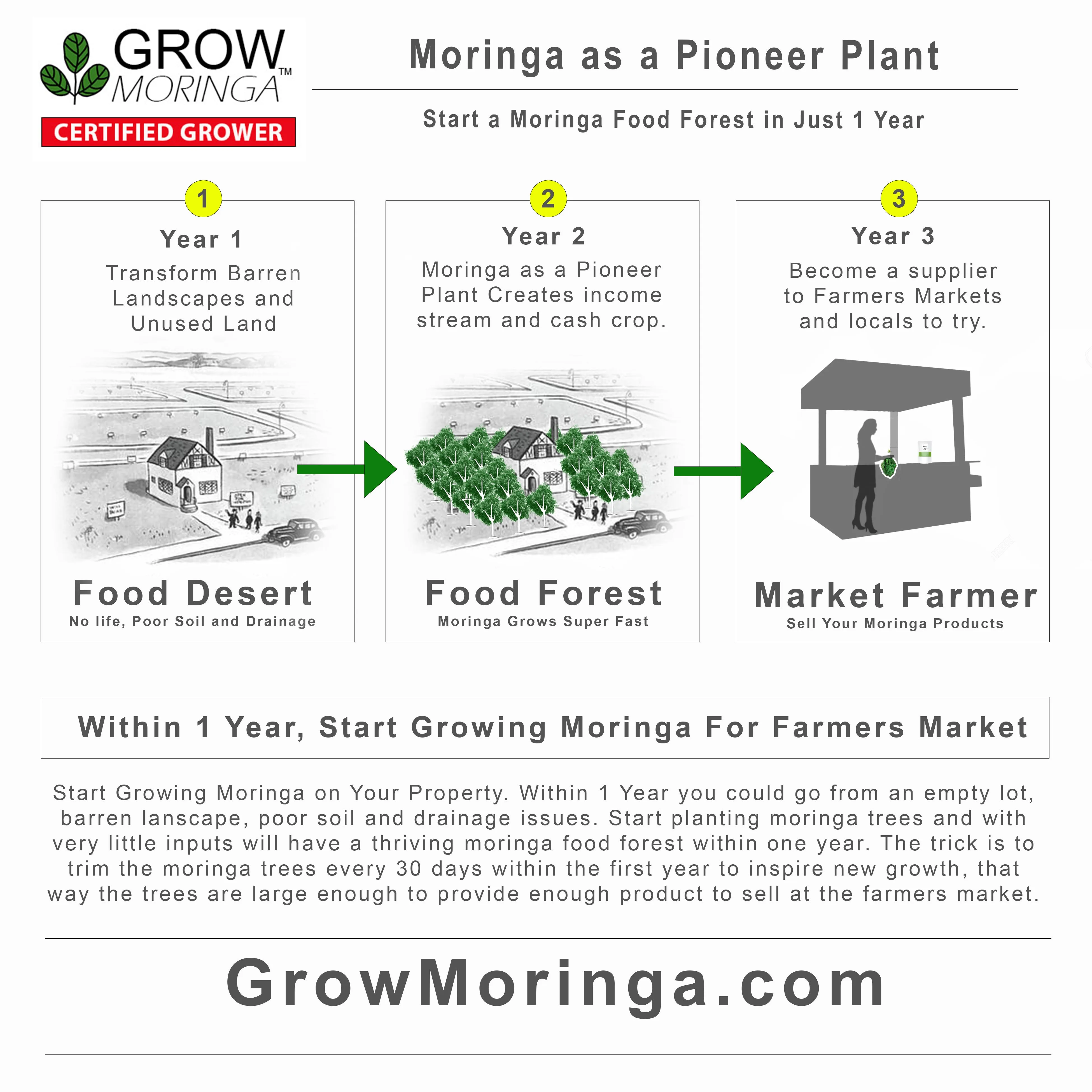Grow Moringa Collective Membership