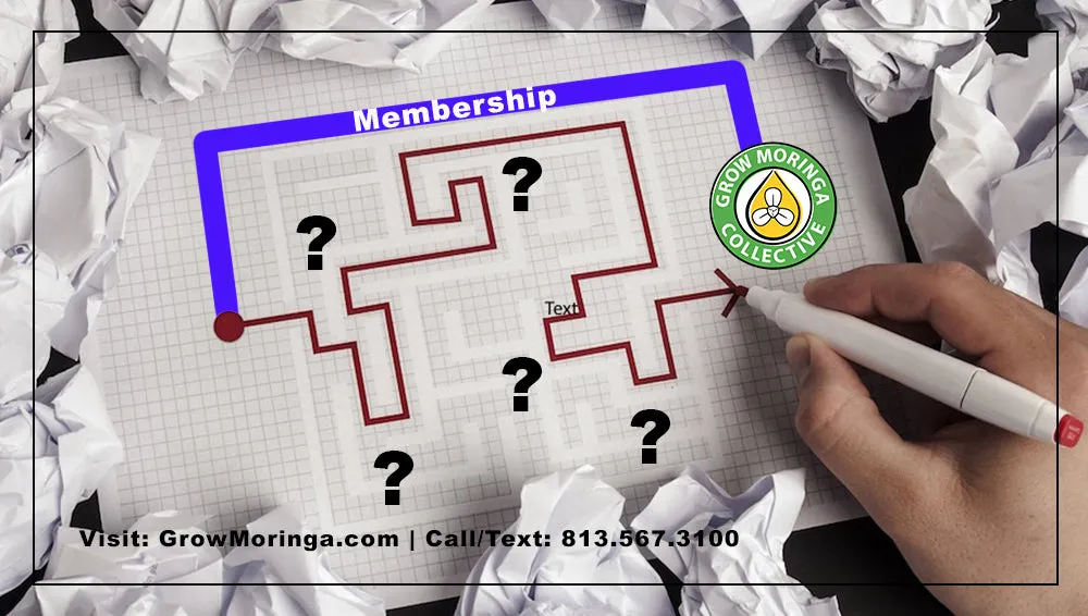 Grow Moringa Collective Membership