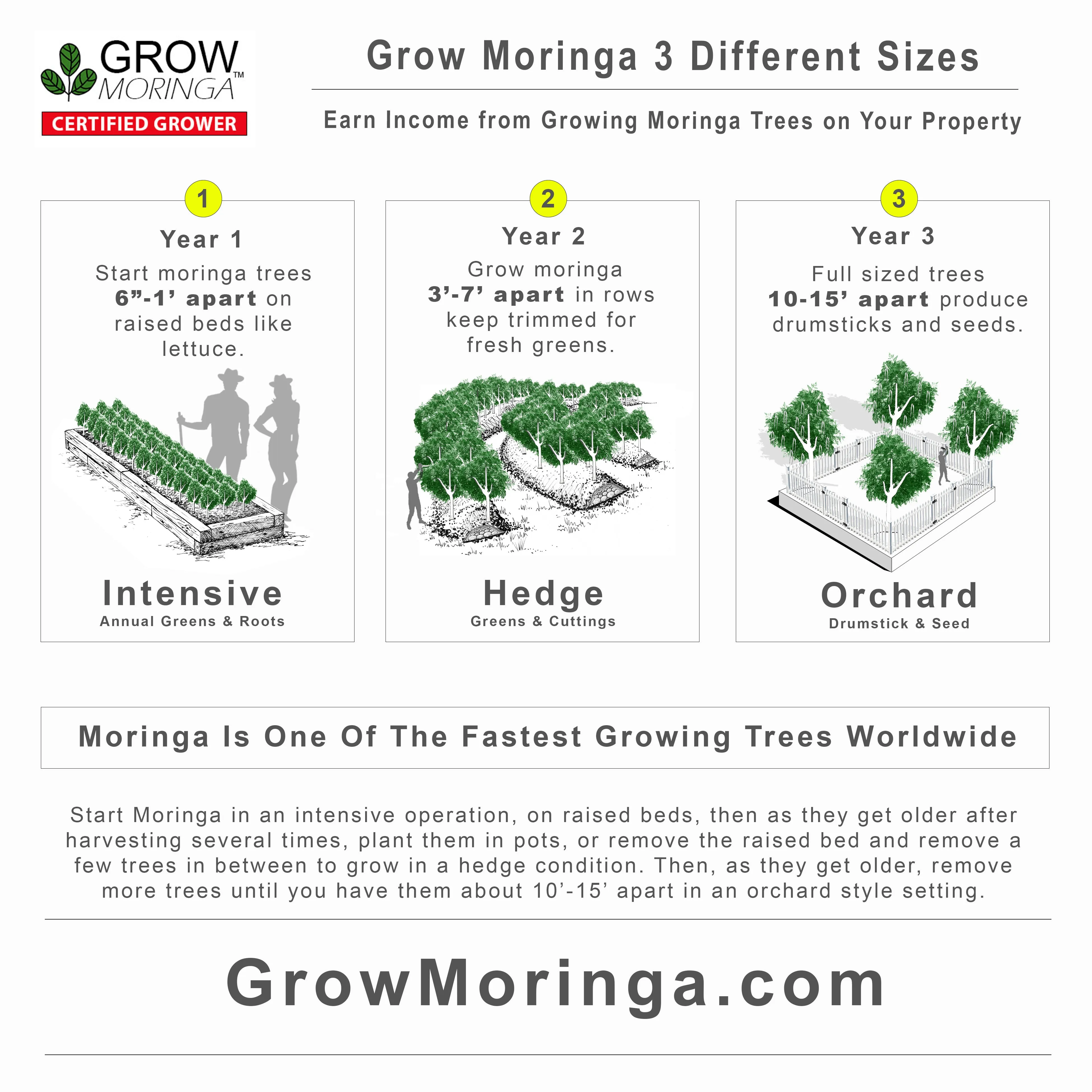 Grow Moringa Collective Membership