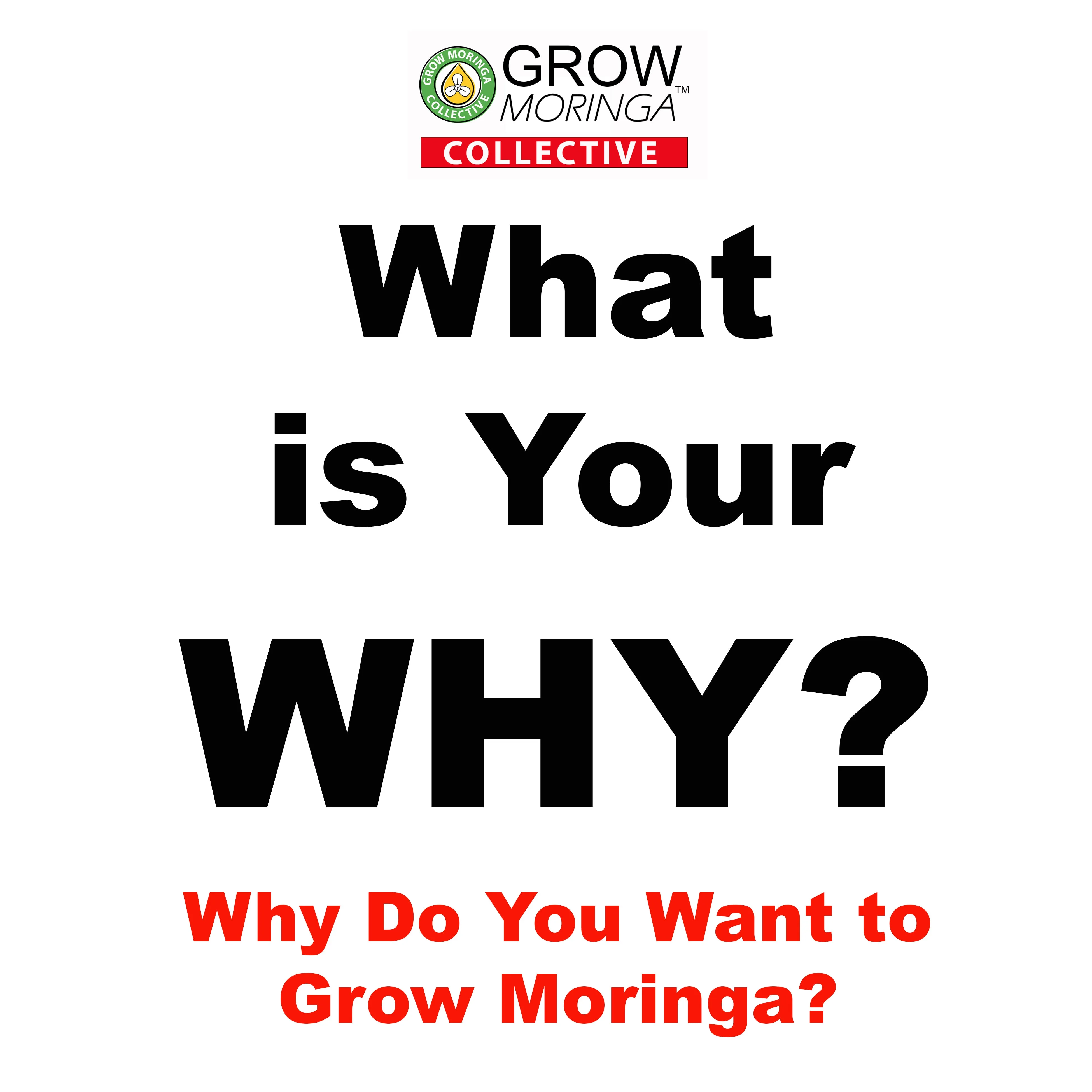 Grow Moringa Collective Membership