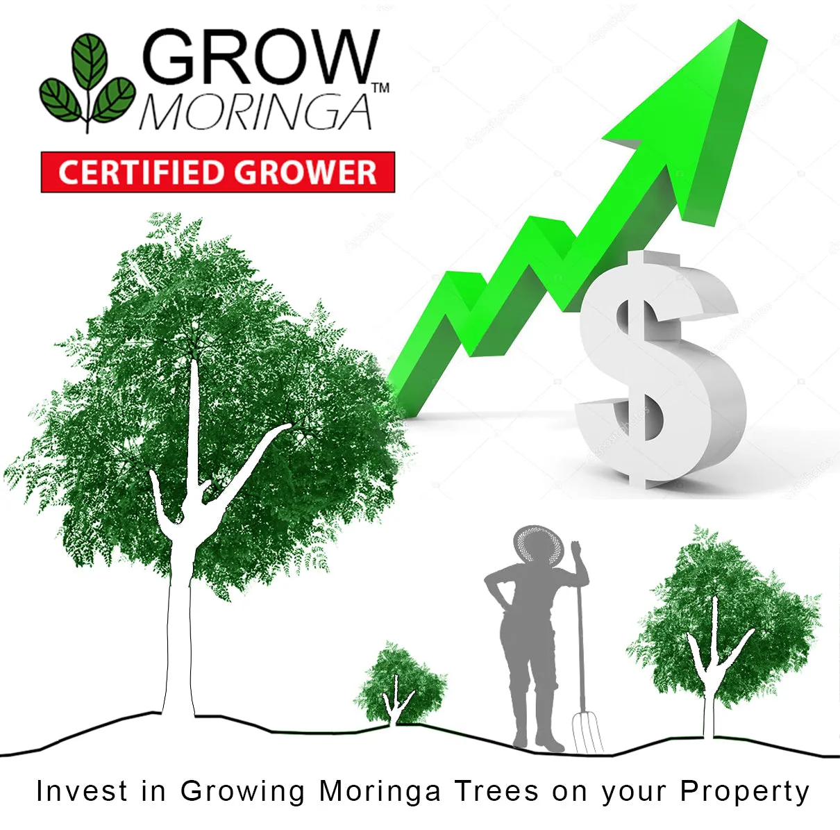 Grow Moringa Collective Membership